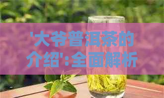 '大爷普洱茶的介绍':全面解析普洱茶的魅力与价值