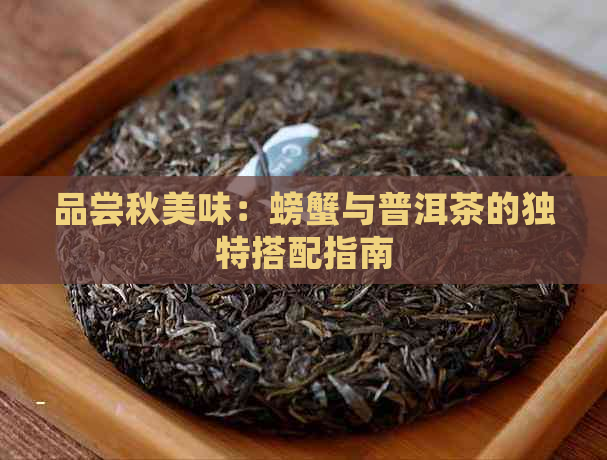 品尝秋美味：螃蟹与普洱茶的独特搭配指南