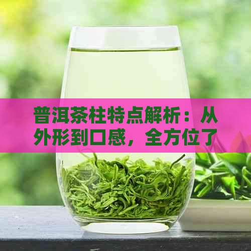 普洱茶柱特点解析：从外形到口感，全方位了解这一独特饮品