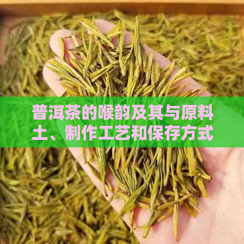 普洱茶的喉韵及其与原料土、制作工艺和保存方式的关系