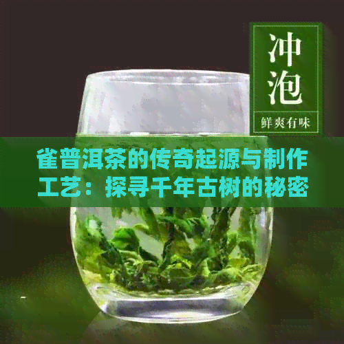 雀普洱茶的传奇起源与制作工艺：探寻千年古树的秘密