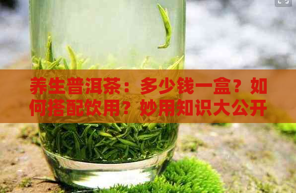 养生普洱茶：多少钱一盒？如何搭配饮用？妙用知识大公开！