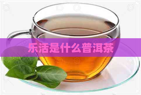 乐活是什么普洱茶