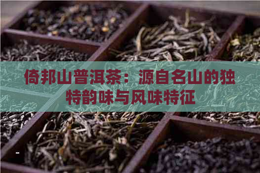 倚邦山普洱茶：源自名山的独特韵味与风味特征