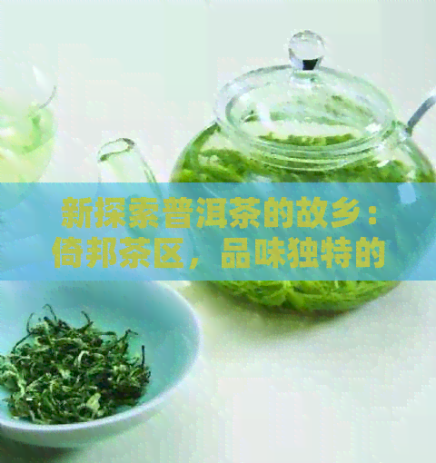 新探索普洱茶的故乡：倚邦茶区，品味独特的云南大叶种茶叶