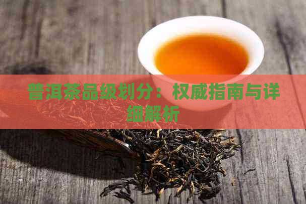 普洱茶品级划分：权威指南与详细解析