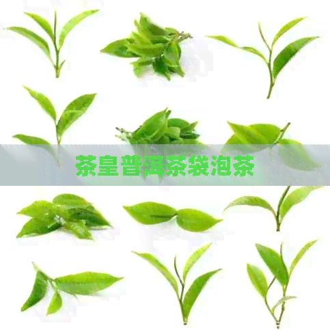 茶皇普洱茶袋泡茶