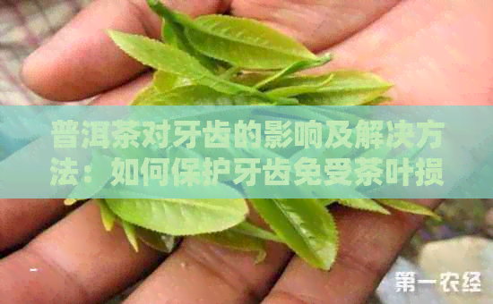 普洱茶对牙齿的影响及解决方法：如何保护牙齿免受茶叶损伤？