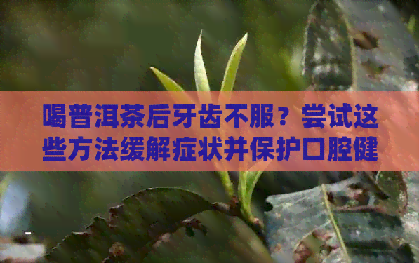 喝普洱茶后牙齿不服？尝试这些方法缓解症状并保护口腔健！