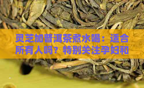 灵芝加普洱茶煮水喝：适合所有人吗？特别关注孕妇和女性