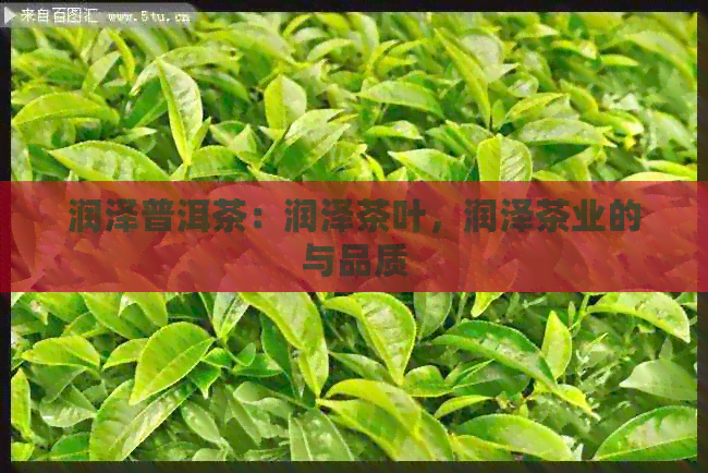 润泽普洱茶：润泽茶叶，润泽茶业的与品质