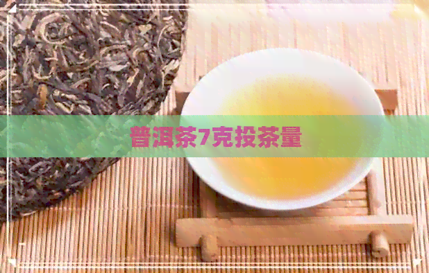 普洱茶7克投茶量