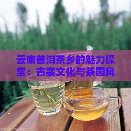 云南普洱茶乡的魅力探索：古寨文化与茶园风光