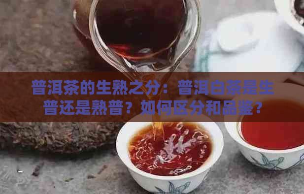 普洱茶的生熟之分：普洱白茶是生普还是熟普？如何区分和品鉴？