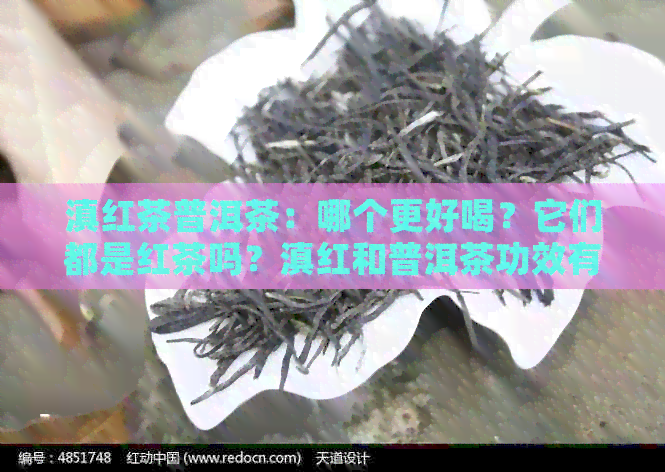 滇红茶普洱茶：哪个更好喝？它们都是红茶吗？滇红和普洱茶功效有何区别？