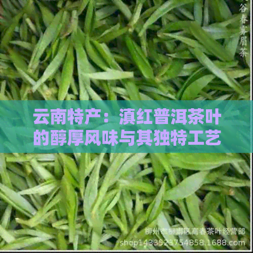 云南特产：滇红普洱茶叶的醇厚风味与其独特工艺