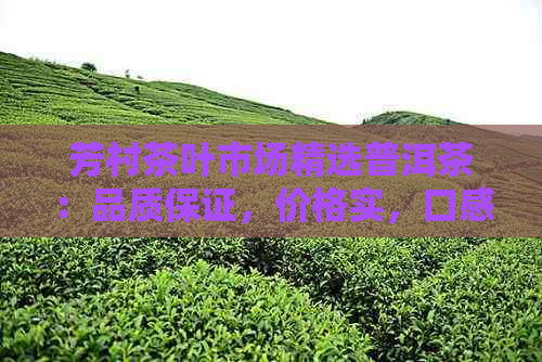 芳村茶叶市场精选普洱茶：品质保证，价格实，口感醇厚