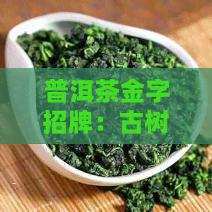 普洱茶金字招牌：古树茶香，醇厚口感，健之选