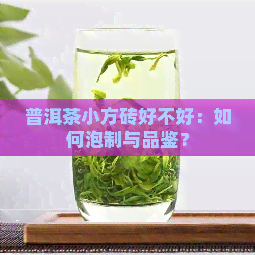 普洱茶小方砖好不好：如何泡制与品鉴？