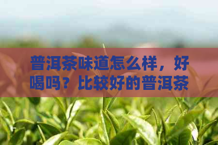 普洱茶味道怎么样，好喝吗？比较好的普洱茶味道如何？