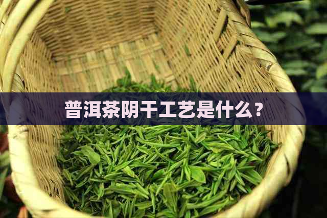 普洱茶阴干工艺是什么？