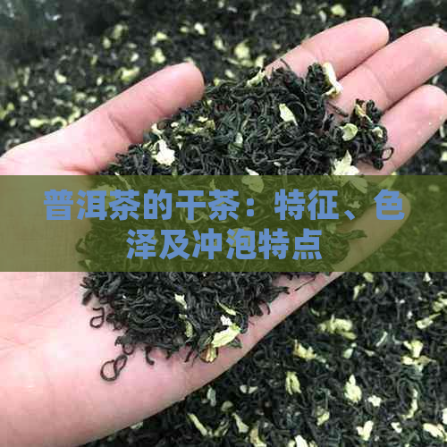 普洱茶的干茶：特征、色泽及冲泡特点