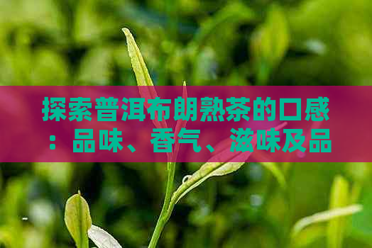 探索普洱布朗熟茶的口感：品味、香气、滋味及品饮技巧全面解析