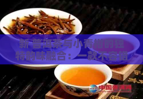 新 普洱茶与小青柑的独特韵味融合：一款不容错过的茶叶体验