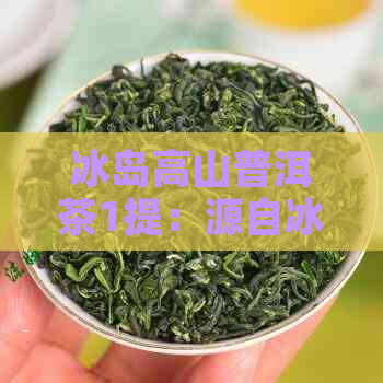 冰岛高山普洱茶1提：源自冰岛高地的纯净之源，品味独特的古树茶香