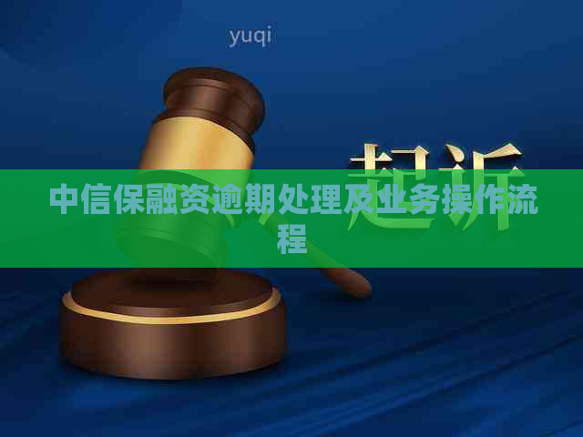 中信保融资逾期处理及业务操作流程