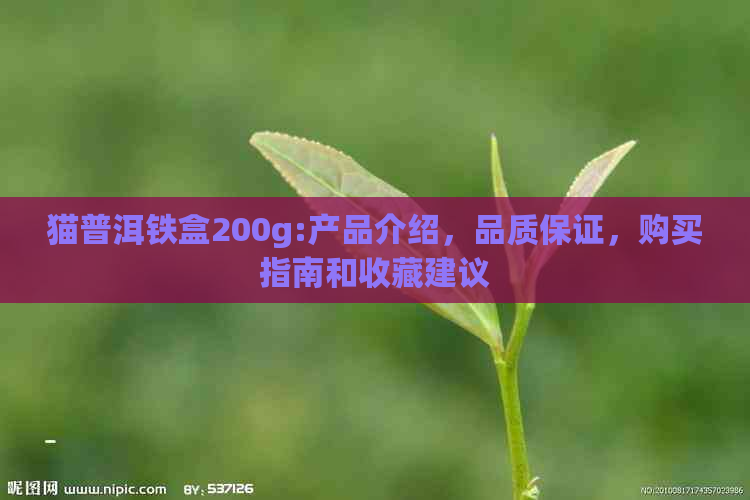 猫普洱铁盒200g:产品介绍，品质保证，购买指南和收藏建议