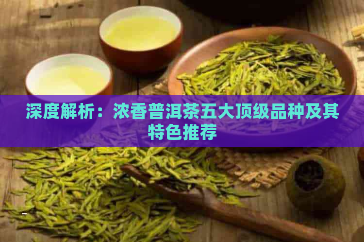 深度解析：浓香普洱茶五大顶级品种及其特色推荐