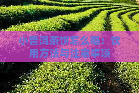 小普洱茶饼怎么喝：饮用方法与注意事项