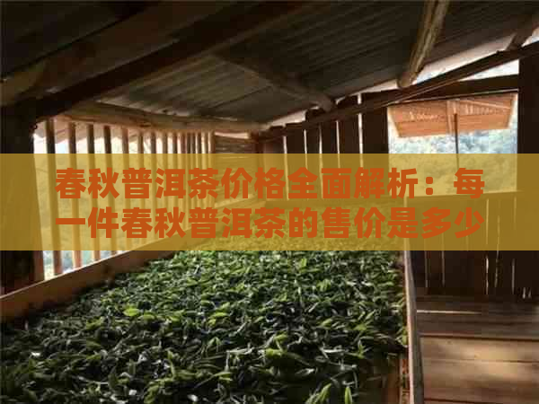 春秋普洱茶价格全面解析：每一件春秋普洱茶的售价是多少？