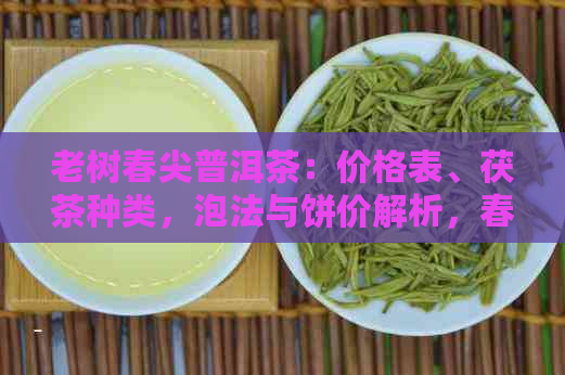 老树春尖普洱茶：价格表、茯茶种类，泡法与饼价解析，春芽特性一应俱全