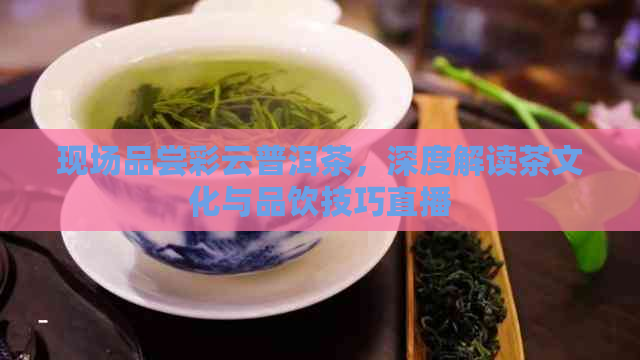 现场品尝彩云普洱茶，深度解读茶文化与品饮技巧直播