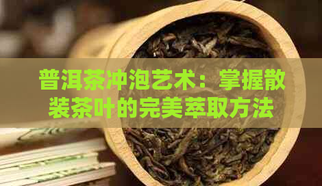 普洱茶冲泡艺术：掌握散装茶叶的完美萃取方法