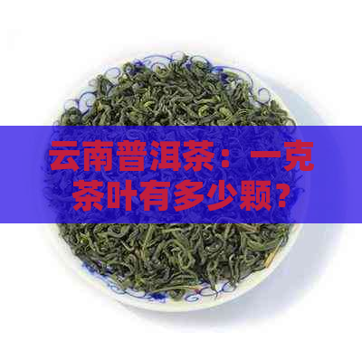 云南普洱茶：一克茶叶有多少颗？