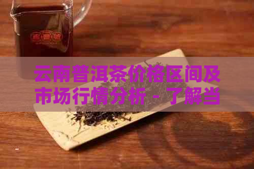 云南普洱茶价格区间及市场行情分析 - 了解当前普洱茶每斤的大致价格