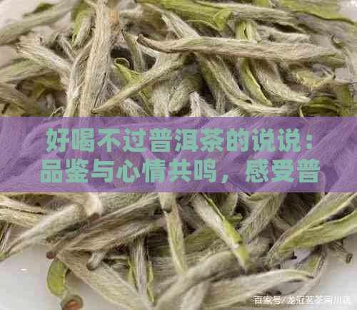 好喝不过普洱茶的说说：品鉴与心情共鸣，感受普洱茶的魅力！