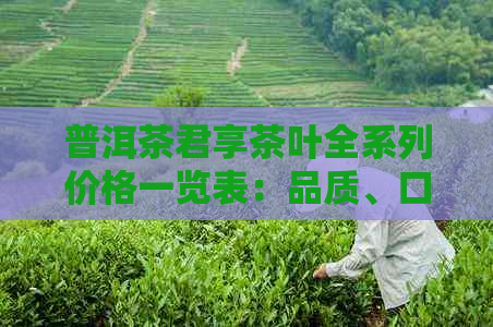 普洱茶君享茶叶全系列价格一览表：品质、口感与价值的完美融合