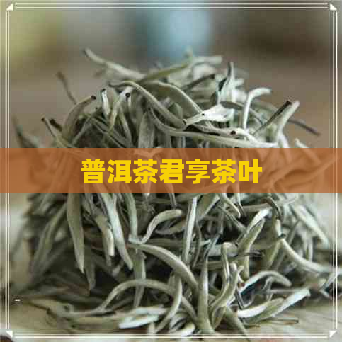 普洱茶君享茶叶