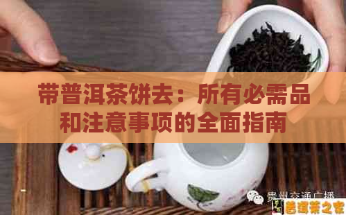 带普洱茶饼去：所有必需品和注意事项的全面指南