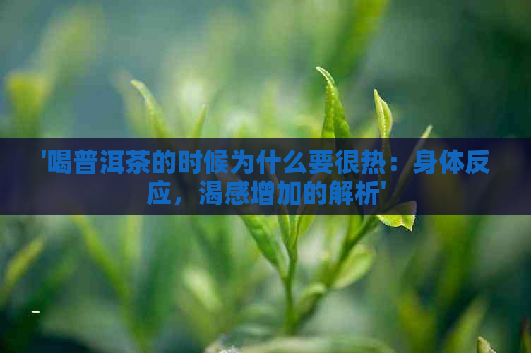 '喝普洱茶的时候为什么要很热：身体反应，渴感增加的解析'