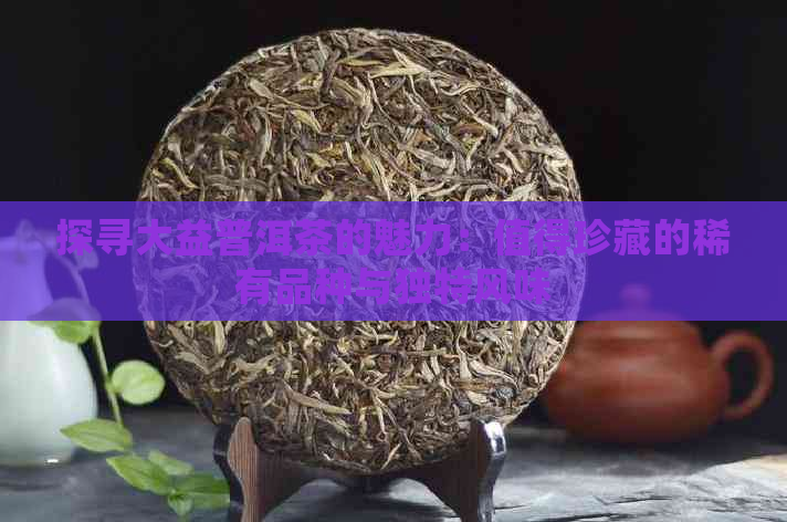 探寻大益普洱茶的魅力：值得珍藏的稀有品种与独特风味