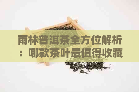 雨林普洱茶全方位解析：哪款茶叶最值得收藏？