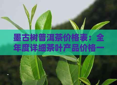 墨古树普洱茶价格表：全年度详细茶叶产品价格一览