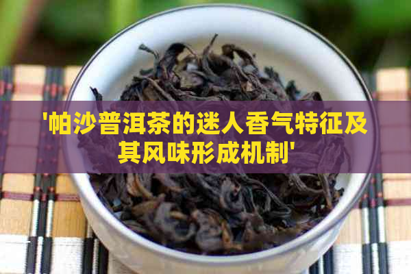 '帕沙普洱茶的迷人香气特征及其风味形成机制'