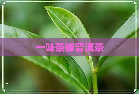 一味茶禅普洱茶