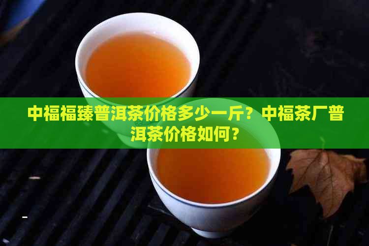 中福福臻普洱茶价格多少一斤？中福茶厂普洱茶价格如何？